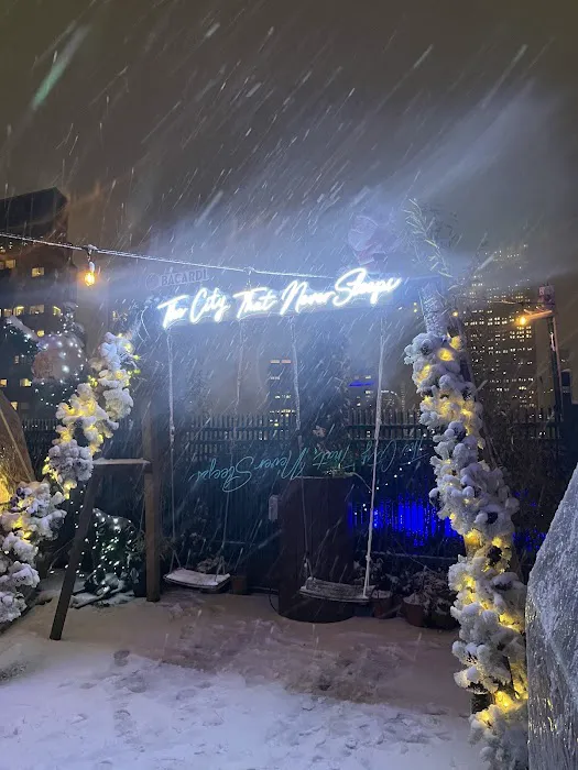Igloo Bar NYC Picture 9