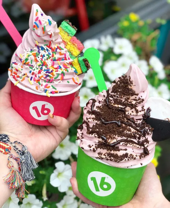16 Handles Picture 7
