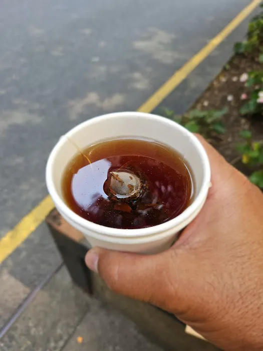 Matto Espresso Picture 8