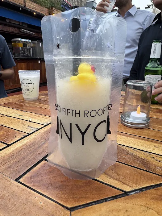 Rooftop Bars NYC Picture 2