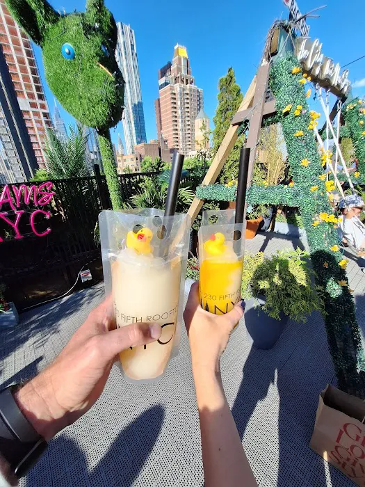 Rooftop Bars NYC Picture 4