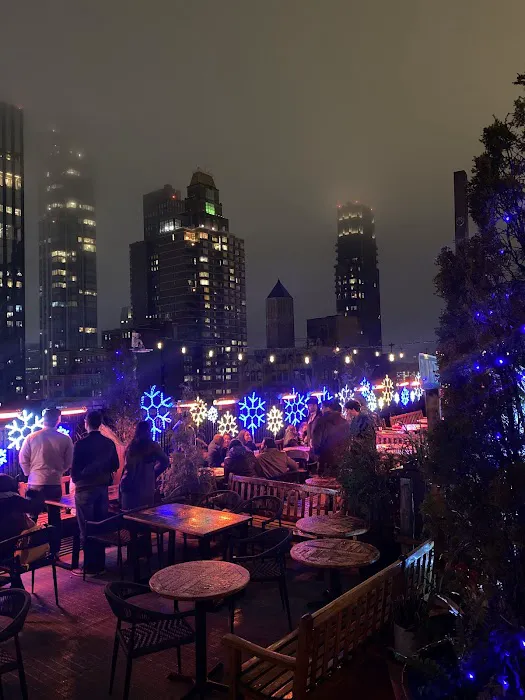Rooftop Bars NYC Picture 9