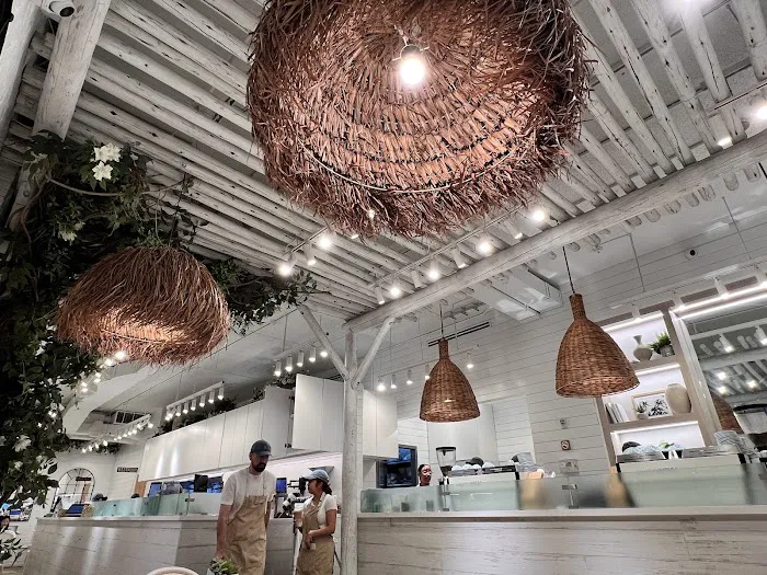 Pura Vida Miami Picture 6