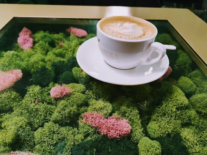 Sahola Coffee Picture 3