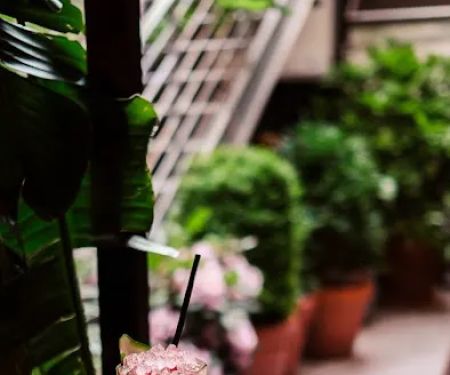 Lobby Bar at MADE Hotel