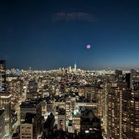 Paul Bar NYC ico