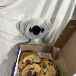 Insomnia Cookies