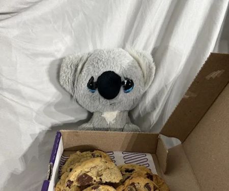 Insomnia Cookies