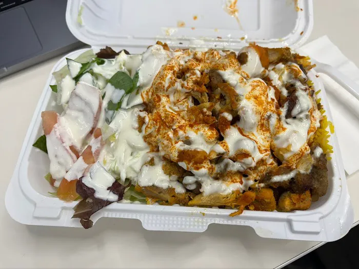 NYC Halal Food Truck Picture 2
