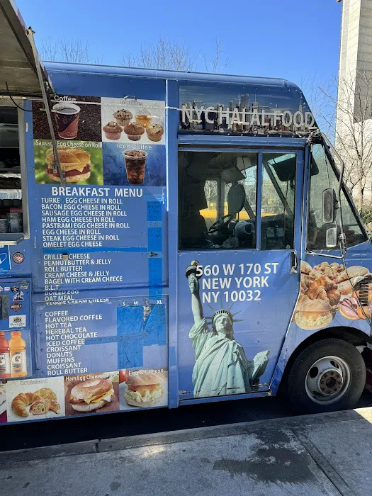 NYC Halal Food Truck Picture 4