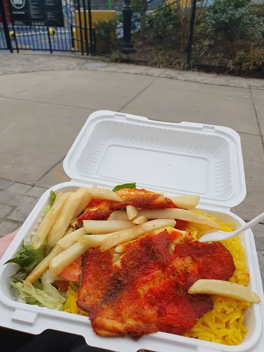 NYC Halal Food Truck Picture 3