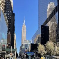 Grand Central Mobile Food Stop ico