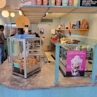 Van Leeuwen Ice Cream ico