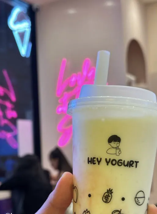 Hey Yogurt Picture 8