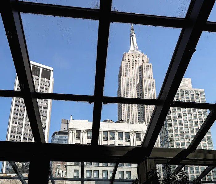 Glass Ceiling Rooftop Picture 4