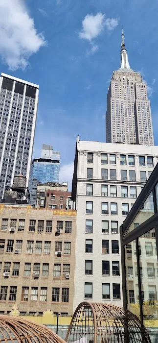 Glass Ceiling Rooftop Picture 3