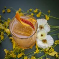 Everdene Bar ico
