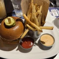 Stout NYC ico