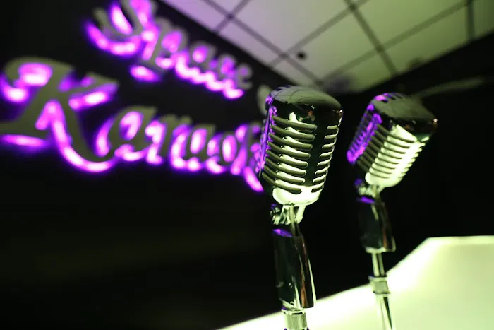 Space Karaoke Bar & Lounge | Koreatown NYC Picture 4