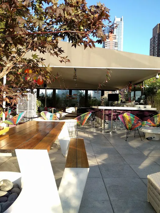The Terrace Picture 5
