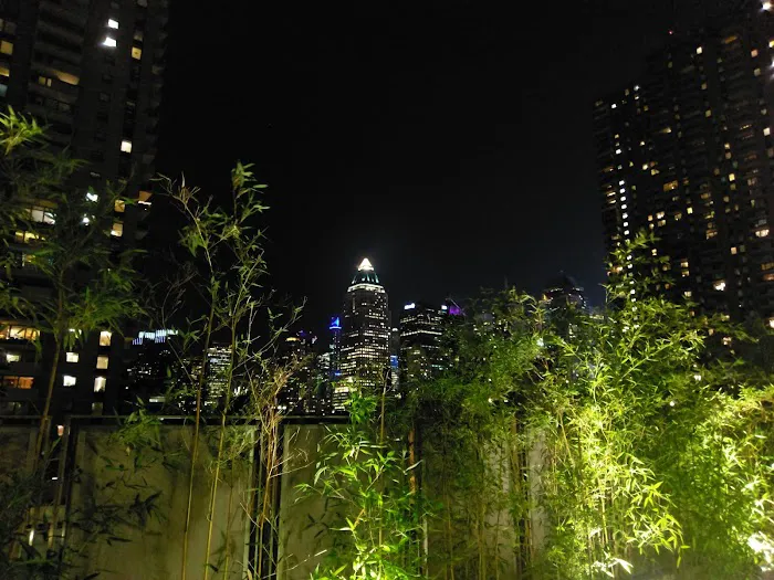 The Terrace Picture 8