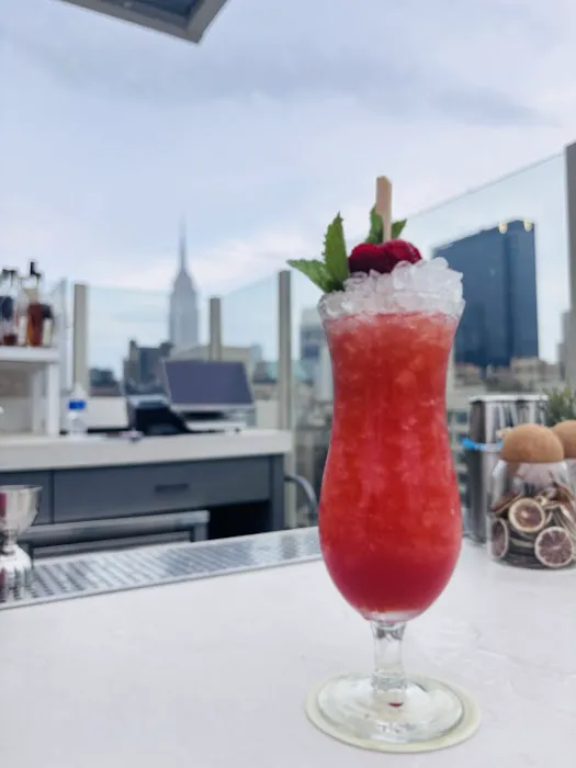 ART Midtown - Rooftop Bars Midtown, NYC (Arlo Midtown) Picture 3