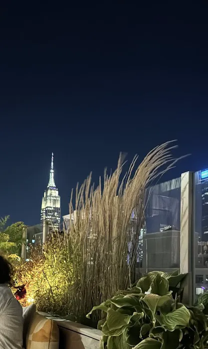 ART Midtown - Rooftop Bars Midtown, NYC (Arlo Midtown) Picture 6