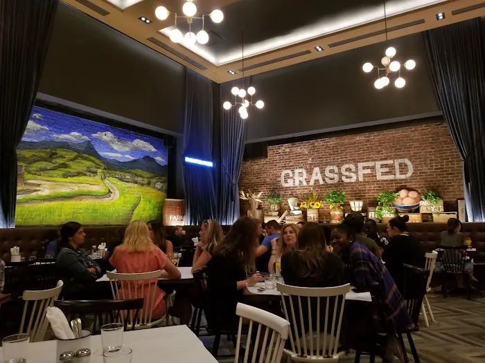 FARM TO BURGER Picture 6