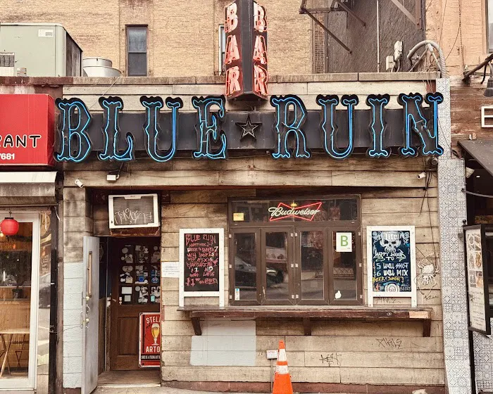 Blue Ruin Bar Picture 8