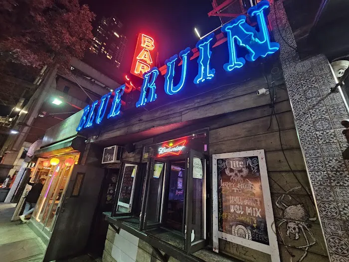 Blue Ruin Bar Picture 10