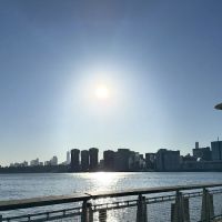 Halal Food Orange Cart ico
