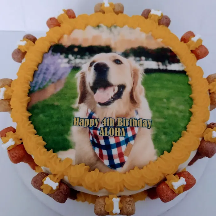 Dog Cakes for Dogs Picture 4