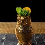 The Bronze Owl