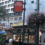Perros y Vainas en la Plaza