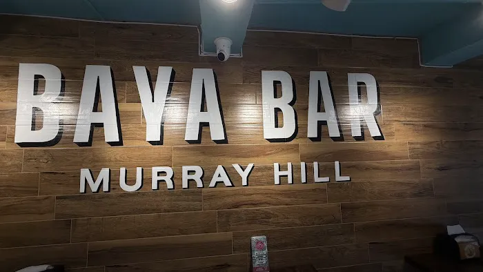 Baya Bar Murray Hill Picture 9