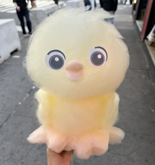 Fluffy nyc Picture 8