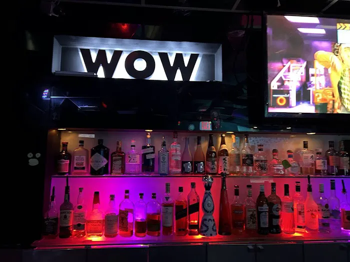 WOW Karaoke Picture 8