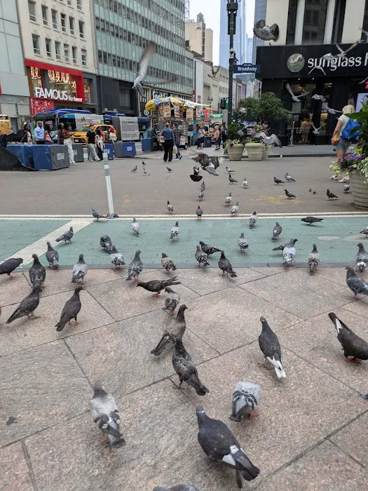 The flavor of new york Picture 9