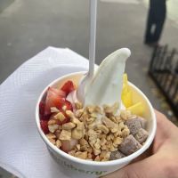 Pinkberry ico