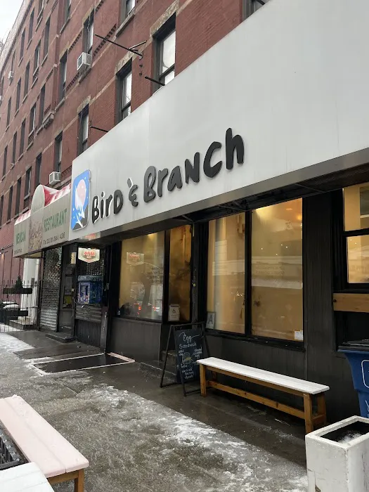 Bird & Branch Coffee Roasters Picture 6