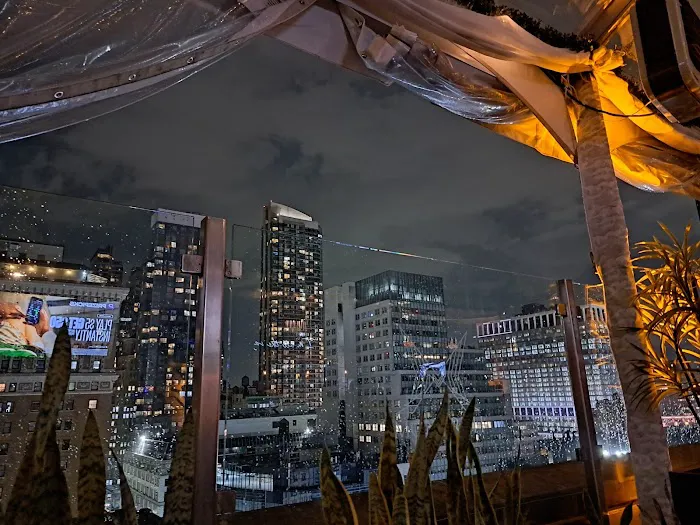 Monarch Rooftop Picture 5