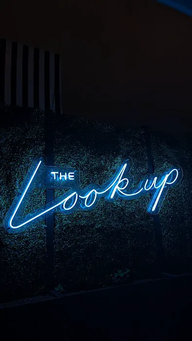 The Lookup Picture 2