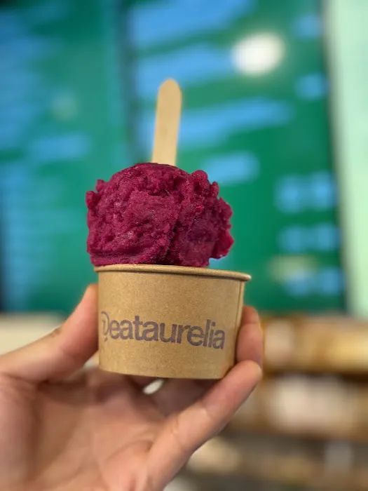 Aurelia - Fresh Gelato & Vegan Sorbetto in Authentic Asian Flavors (Midtown NYC) Picture 1