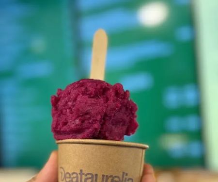Aurelia - Fresh Gelato & Vegan Sorbetto in Authentic Asian Flavors (Midtown NYC)