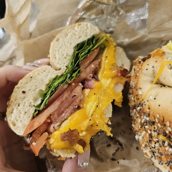 Bagel to Sandwich Picture 10