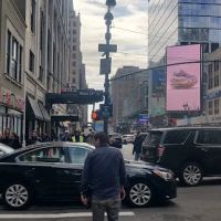Café Hestia ico