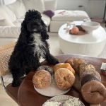 Bagel Pub - Garment District