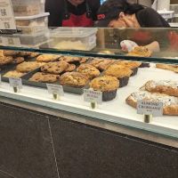 Matto Espresso ico