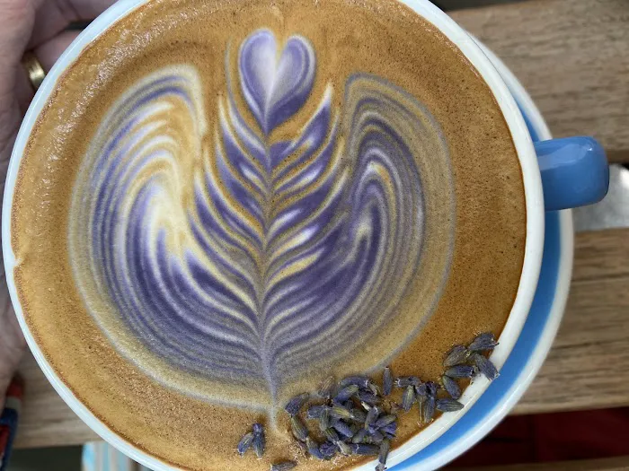 Remi43 Flower & Coffee Picture 3