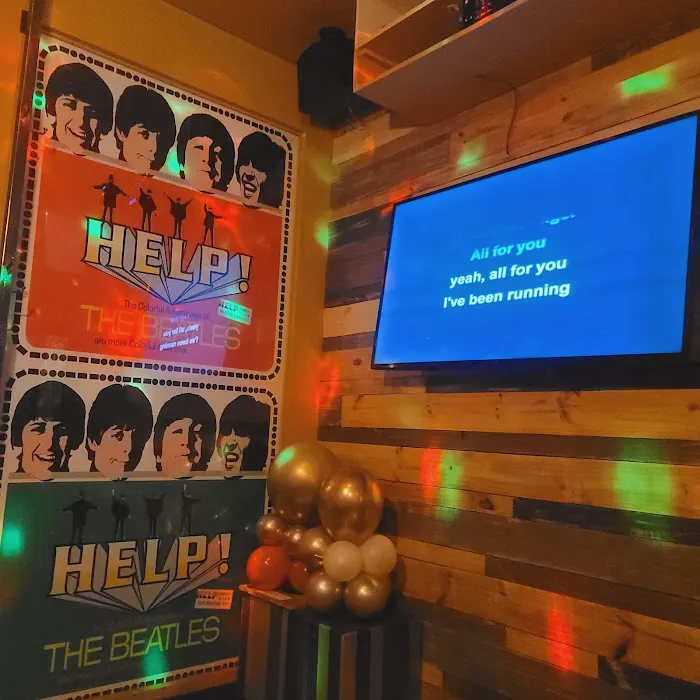 Radio Star Karaoke Picture 9